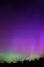 auroraMay2005_v_08n