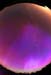 auroraMay2005_v_11n